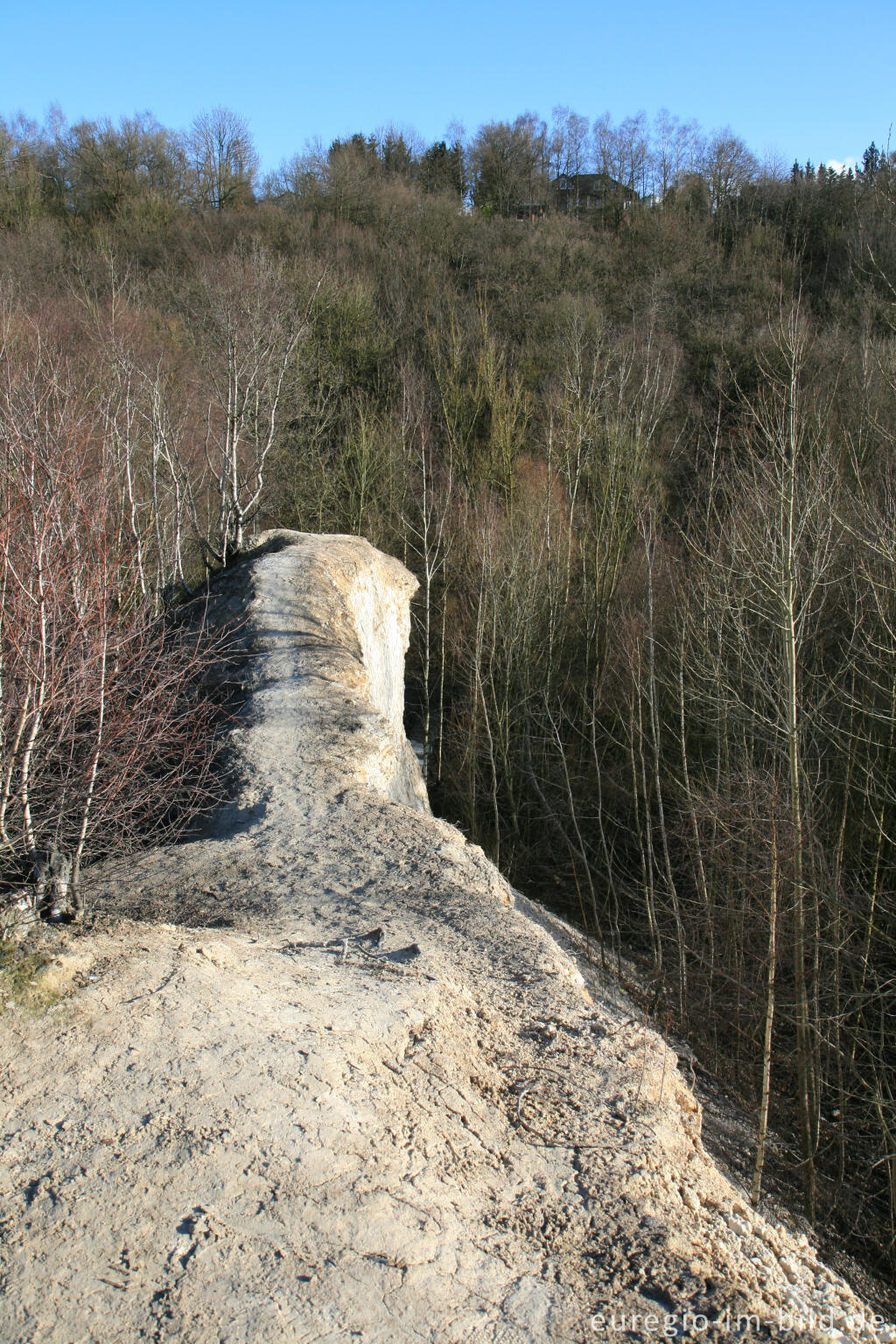 Detailansicht von Kalkberg im Wurmtal bei Würselen