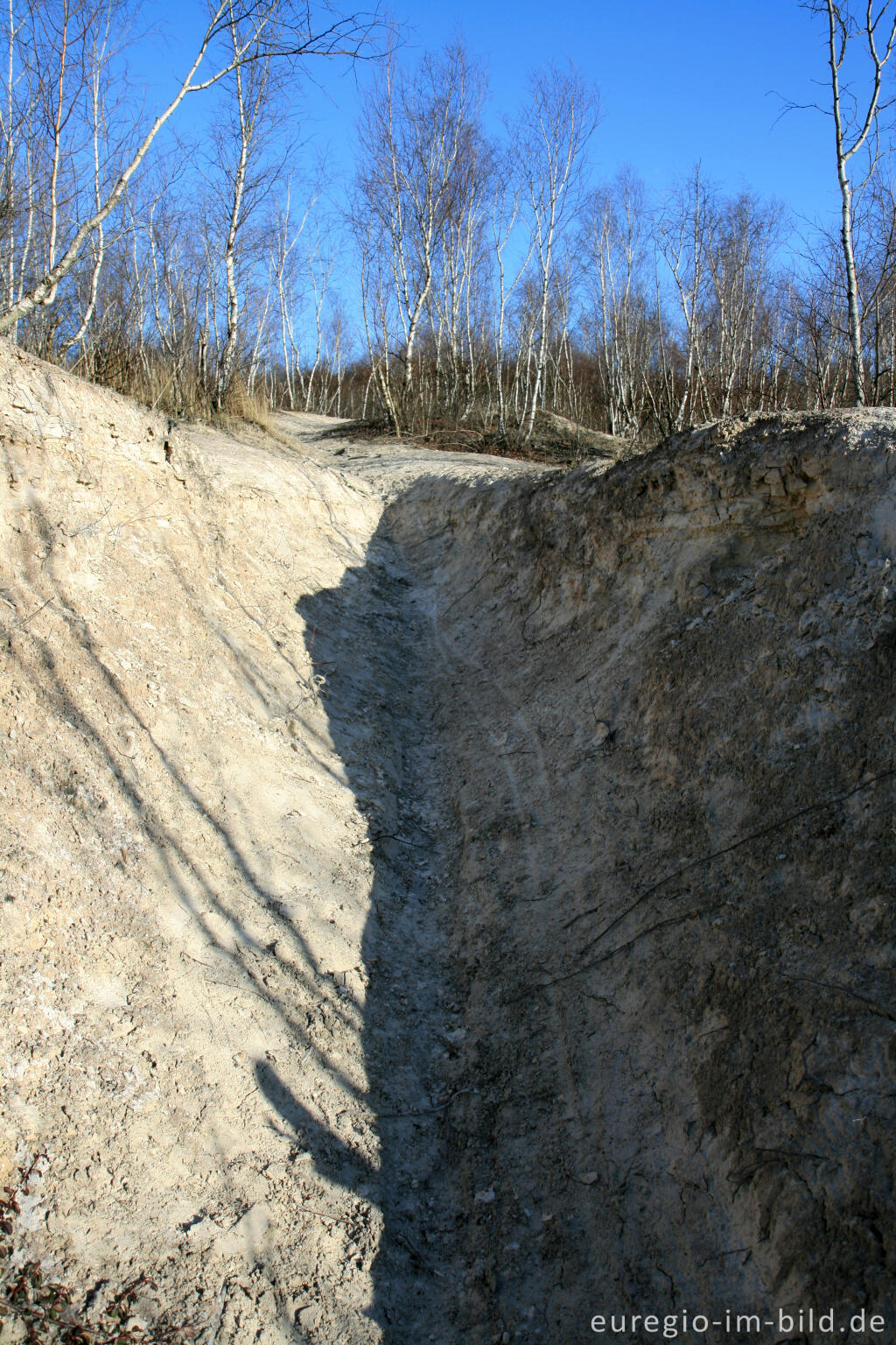 Detailansicht von Kalkberg im Wurmtal bei Würselen