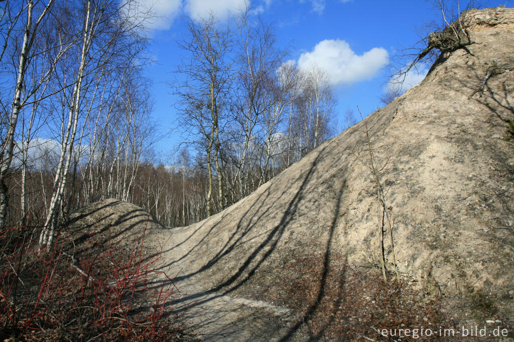 Detailansicht von Kalkberg im Wurmtal bei Würselen