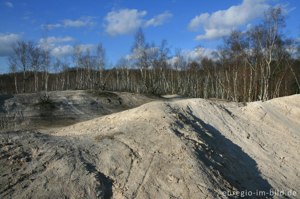 Detailansicht von Kalkberg im Wurmtal bei Würselen