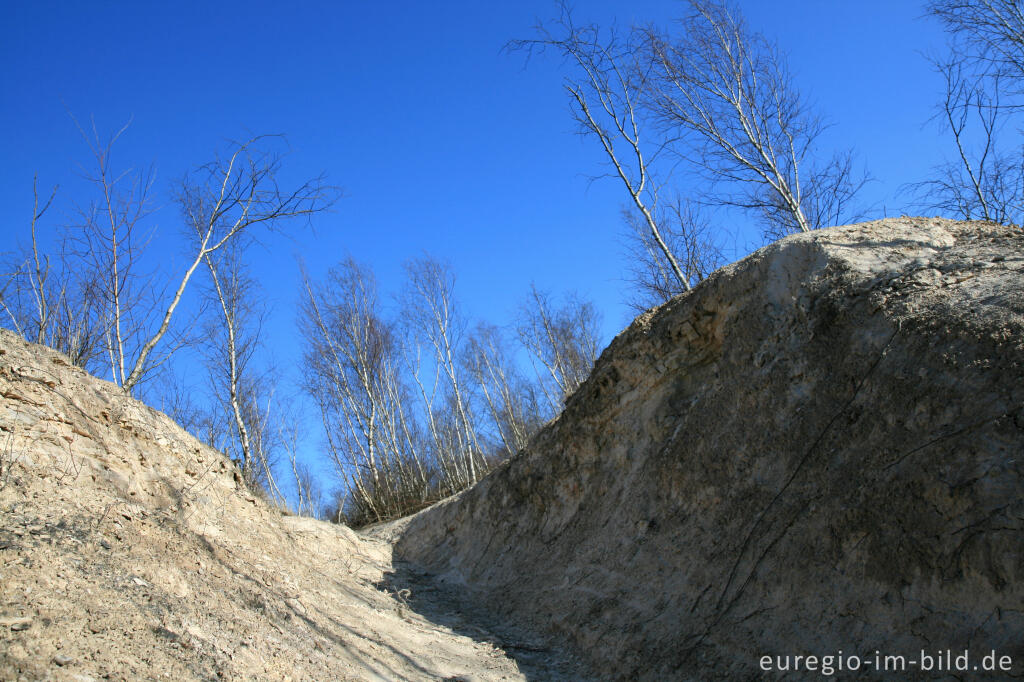 Detailansicht von Kalkberg im Wurmtal bei Würselen