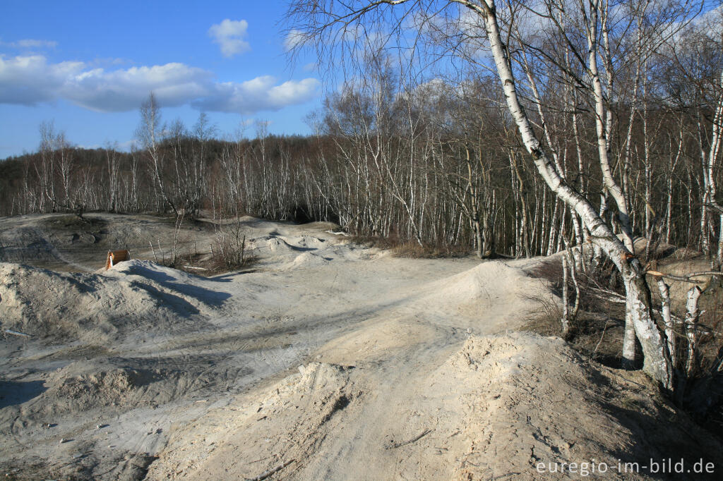 Detailansicht von Kalkberg im Wurmtal bei Würselen