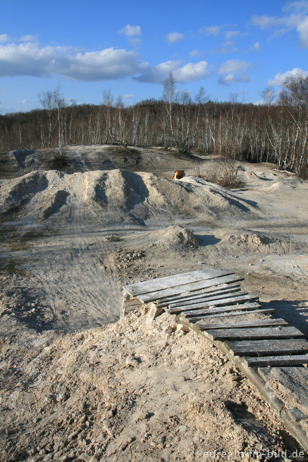 Detailansicht von Kalkberg im Wurmtal bei Würselen