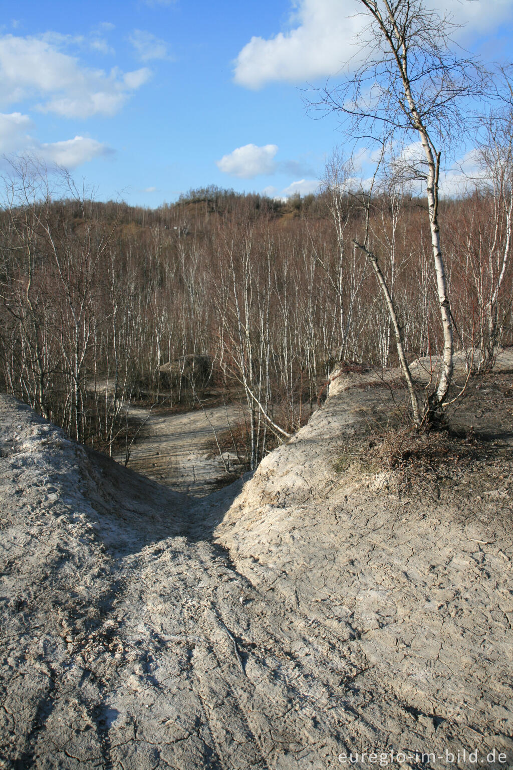 Detailansicht von Kalkberg im Wurmtal bei Würselen