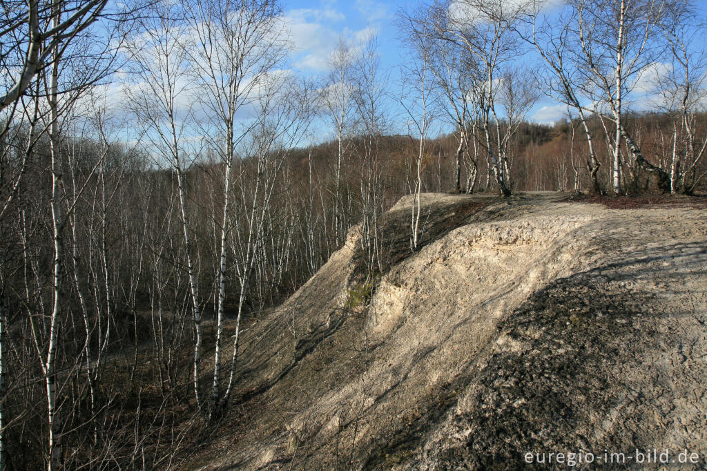 Detailansicht von Kalkberg im Wurmtal bei Würselen