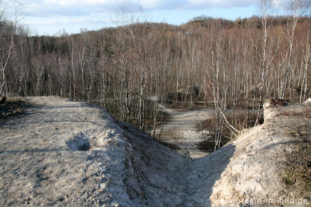 Detailansicht von Kalkberg im Wurmtal bei Würselen