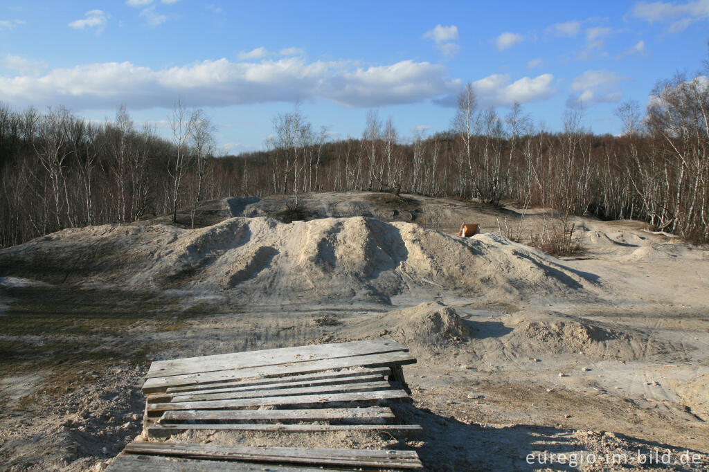 Detailansicht von Kalkberg im Wurmtal bei Würselen