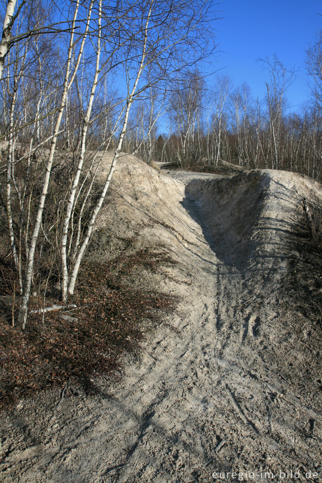 Detailansicht von Kalkberg im Wurmtal bei Würselen