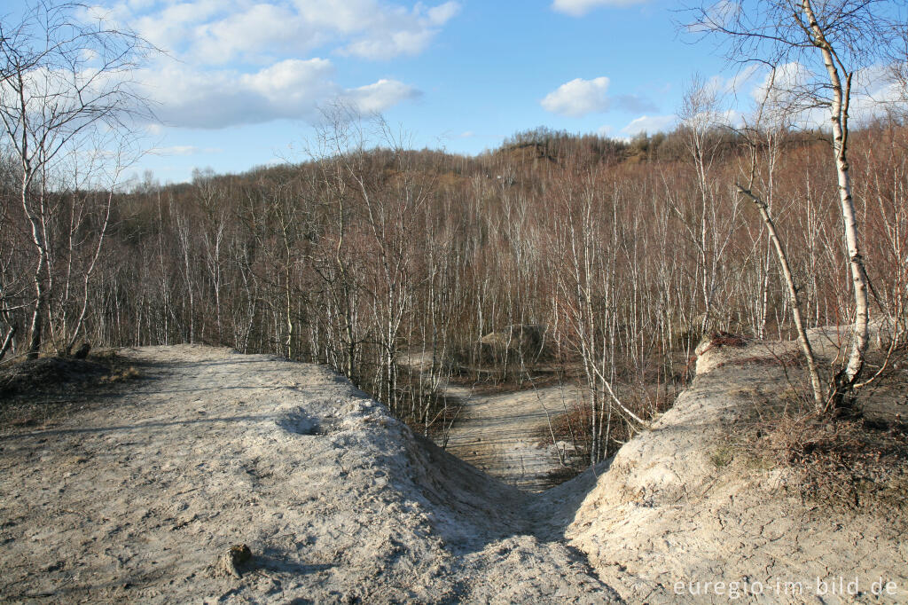 Detailansicht von Kalkberg im Wurmtal bei Würselen