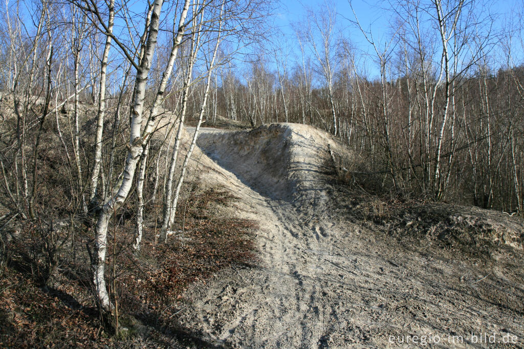 Detailansicht von Kalkberg im Wurmtal bei Würselen