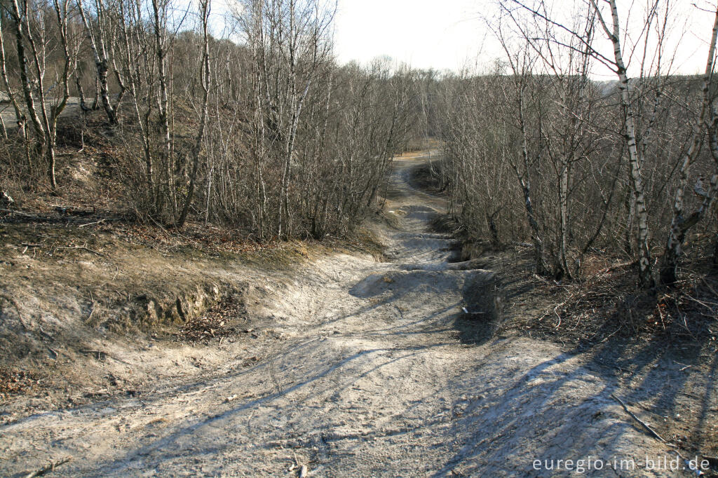 Detailansicht von Kalkberg im Wurmtal bei Würselen