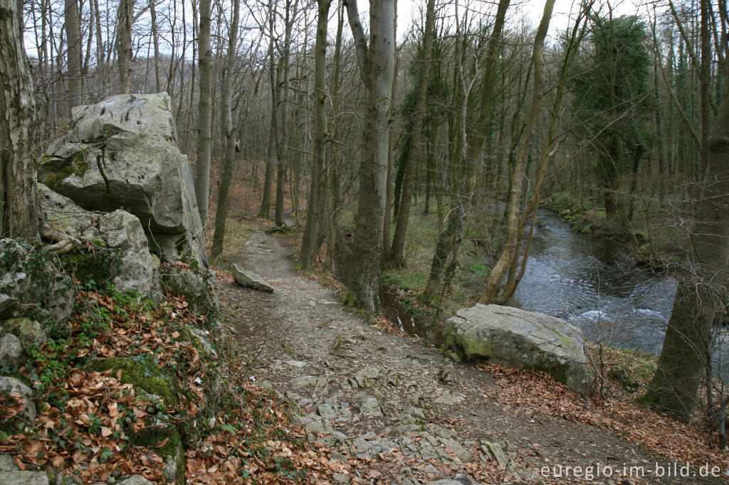 Detailansicht von Kalksteinzug mit Inde, Klauserwäldchen, Kornelimünster