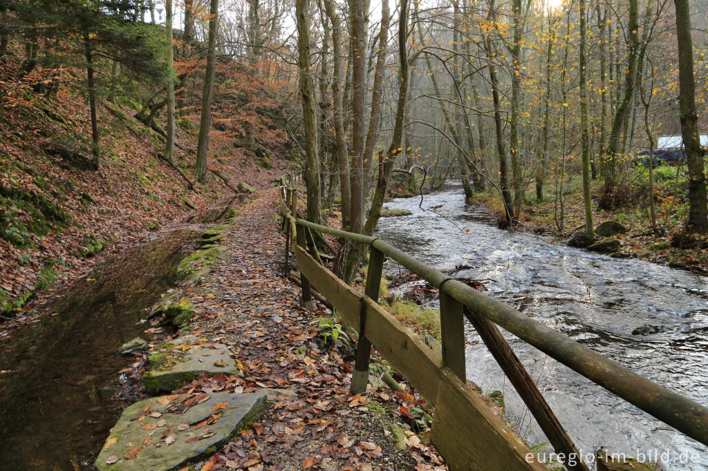 Detailansicht von Kall und Mühlbach der Mestrenger Mühle, Kalltal westlich von Simonskall