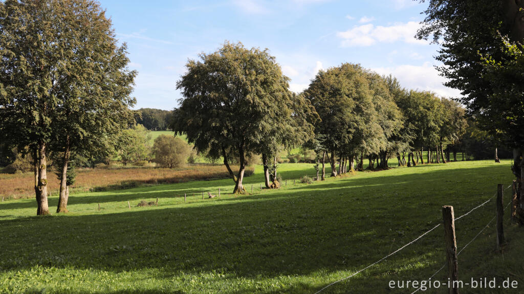 Detailansicht von Kalltal bei Paustenbach