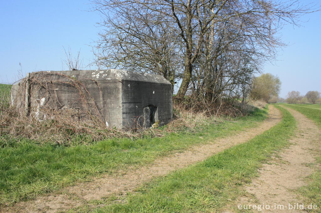 Kasematte aus dem 2. Weltkrieg bei Epen (NL), im Göhltal