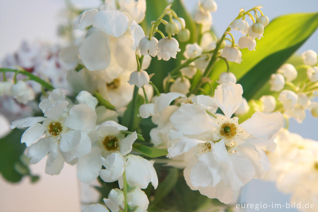 Detailansicht von Kleiner Blumenstrauß, Mai 