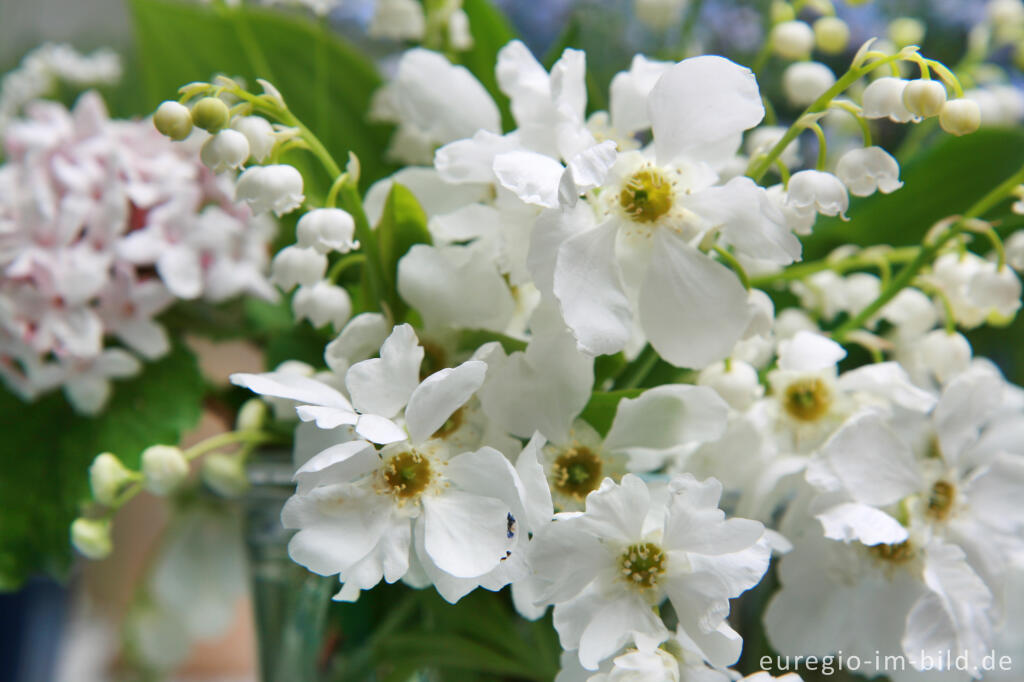 Detailansicht von Kleiner Blumenstrauß, Mai 