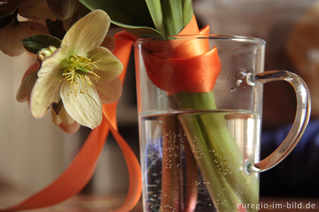 Detailansicht von Kleiner Blumenstrauß mit Christrosen 