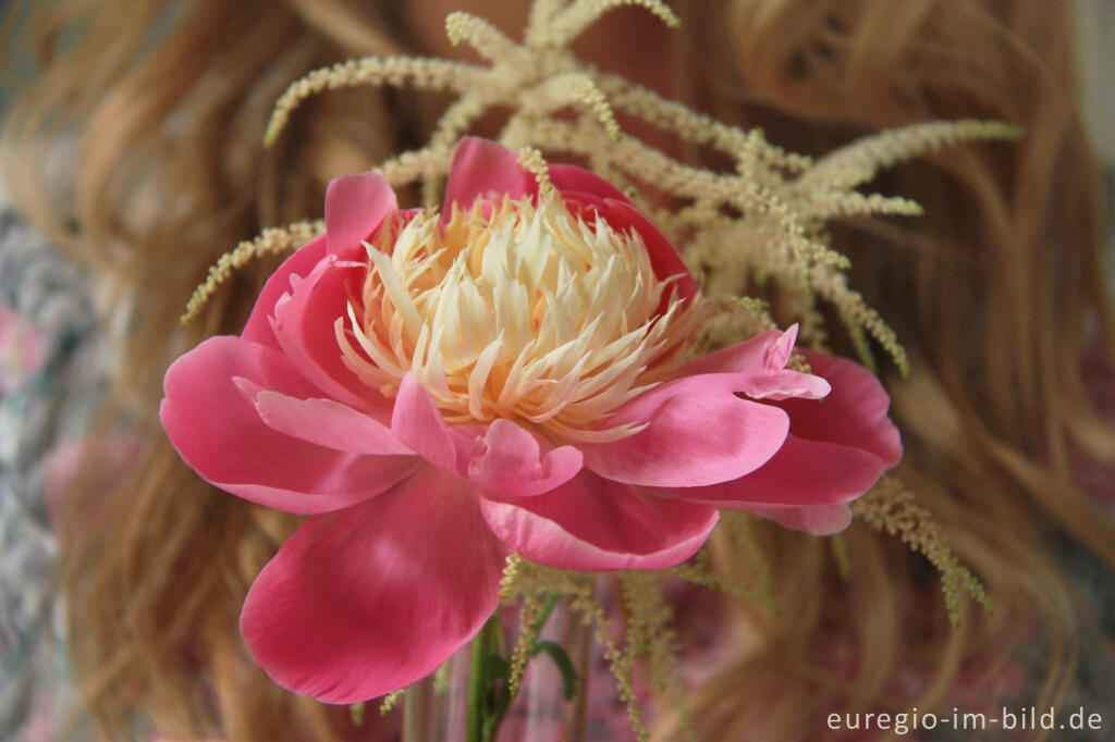 Detailansicht von Kleiner Blumenstrauß mit der Pfingstrose "Bowl of Beauty" und dem "Wald-Geißbart"