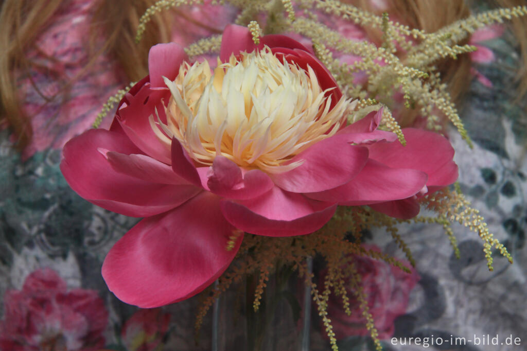 Detailansicht von Kleiner Blumenstrauß mit der Pfingstrose "Bowl of Beauty" und dem "Wald-Geißbart"