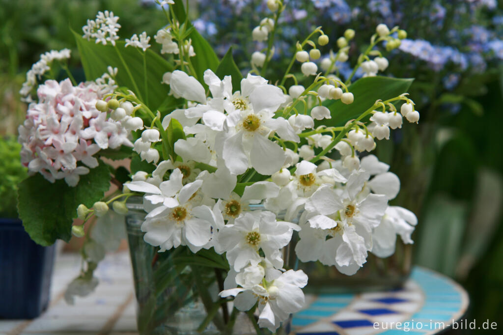 Detailansicht von Kleiner Blumenstrauß mit Gartenblumen, Mai