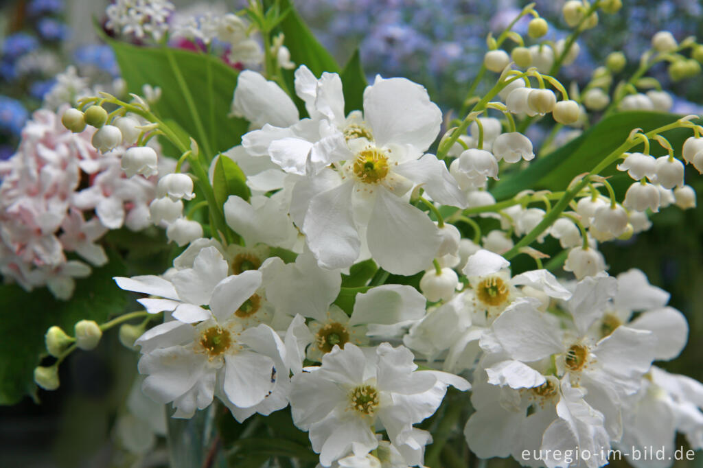 Detailansicht von Kleiner Blumenstrauß mit Gartenblumen, Mai