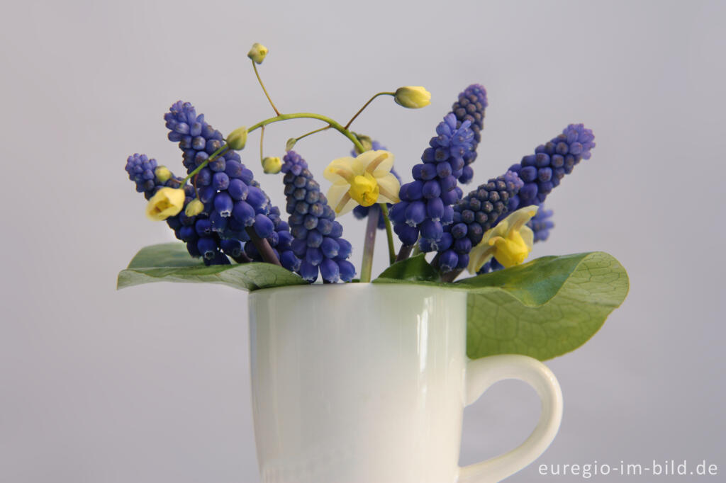 Detailansicht von Kleiner Blumenstrauß mit Traubenhyazinthen und Elfenblume