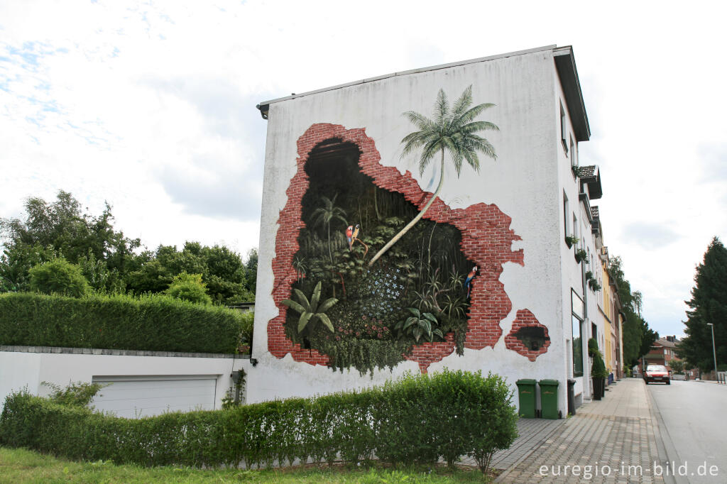 Detailansicht von "Kleiner Dschungel" an der Eygelshovener Straße in Herzogenrath