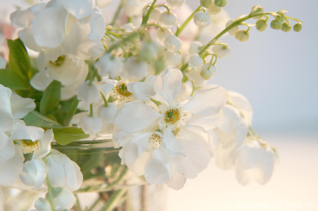 Detailansicht von Kleiner Mai-Blumenstrauß mit Prunkspiere (Exochorda x macrantha) und Maiglöckchen (Convallaria majalis)