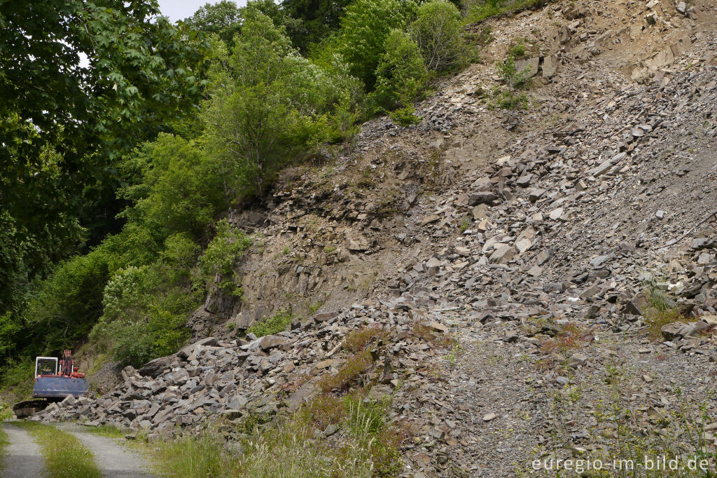 Detailansicht von Kleiner Steinbruch im mittleren Ourtal zwischen Dasburg und Tintesmühle