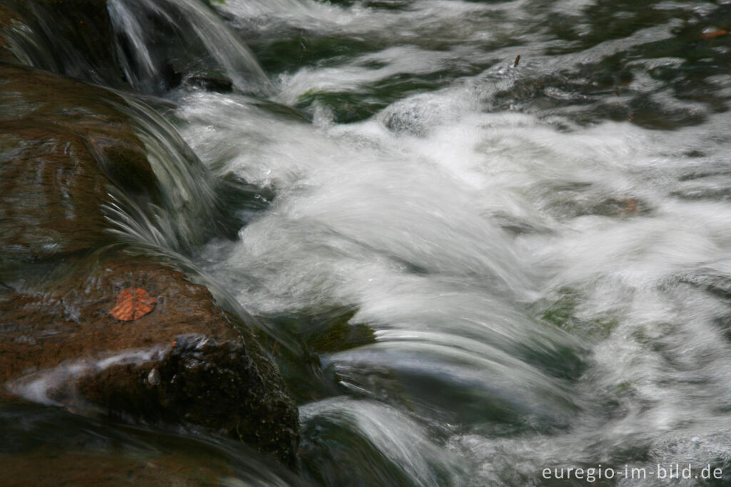 Detailansicht von Kleiner Wasserfall am Anstelerbeek (Amstelbach), Hambos, Kerkrade, NL