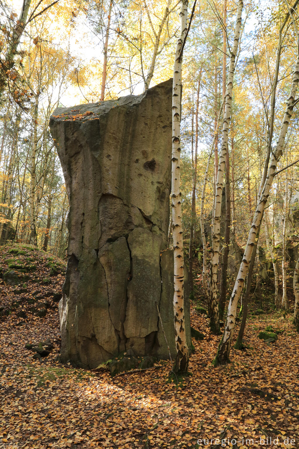 Detailansicht von Klettergebiet Grubenlandschaft Kottenheimer Winfeld