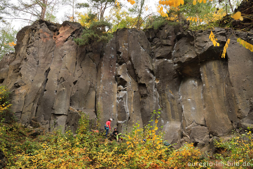 Detailansicht von Kletterkurs für Anfänger mit Hendrik Kardinal im historischen Basalt-Steinbruch Kottenheimer Winfeld.