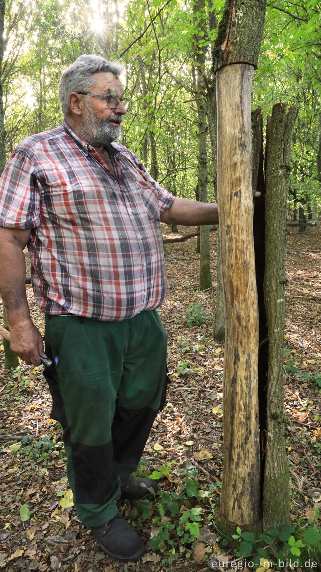 Detailansicht von Köhlermeister Gerd Linden demonstriert das Lohschälen zur Gewinnung von Eichenrinde