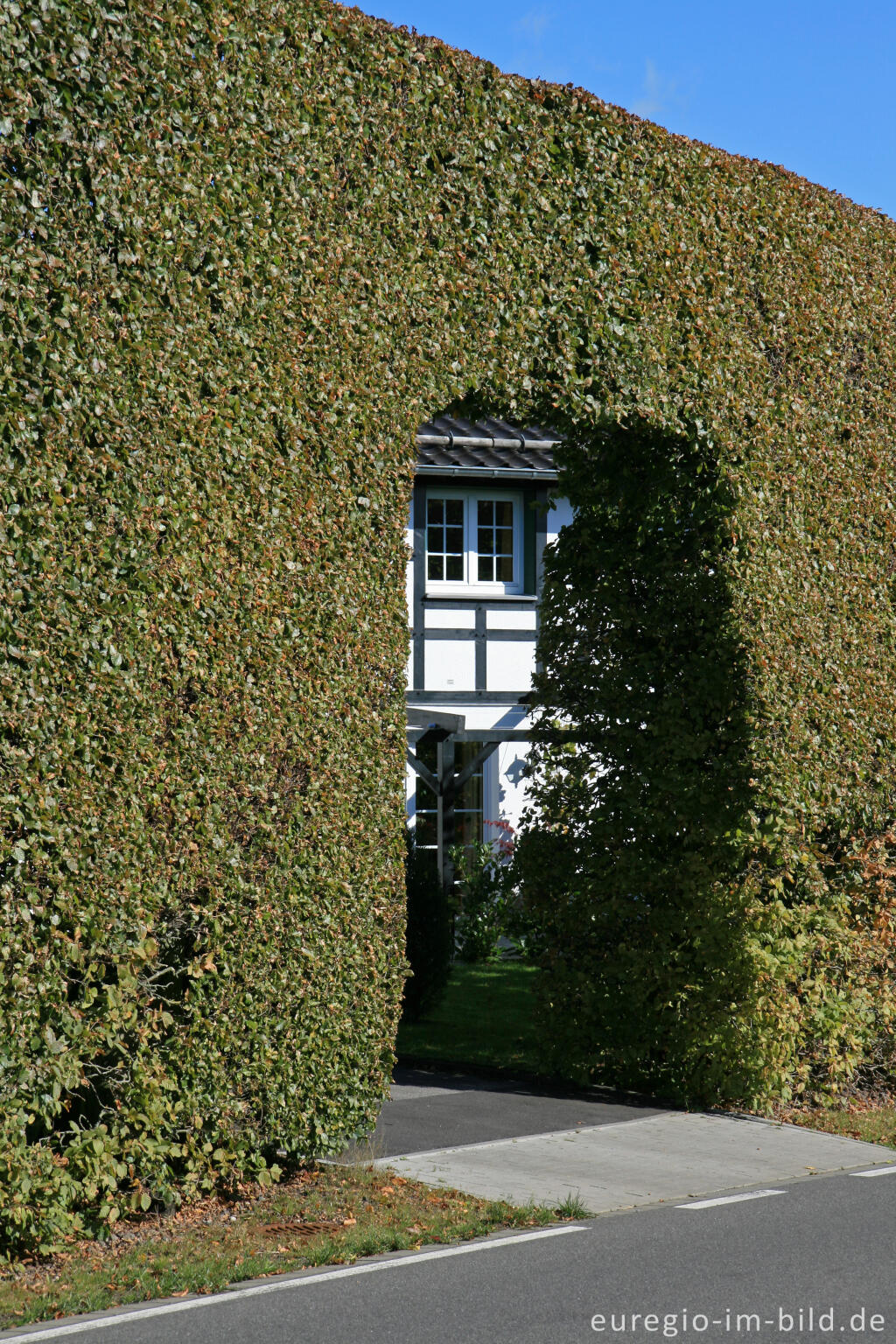 Detailansicht von Konzen, Fachwerkhaus mit Hecke