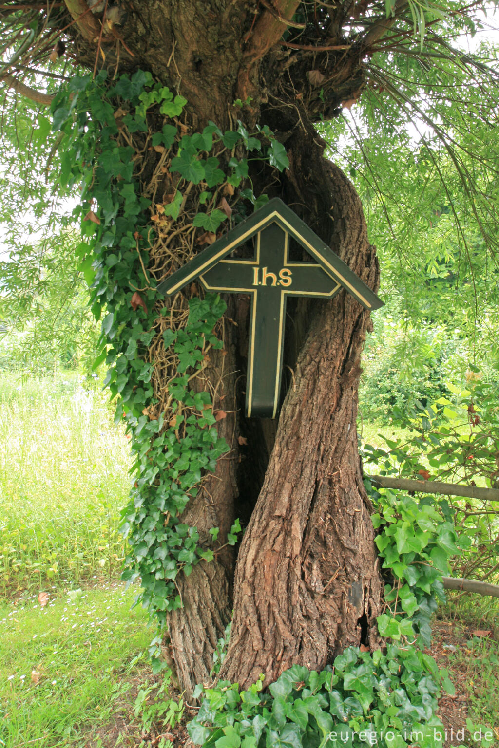 Detailansicht von Kreuz an einem Baum