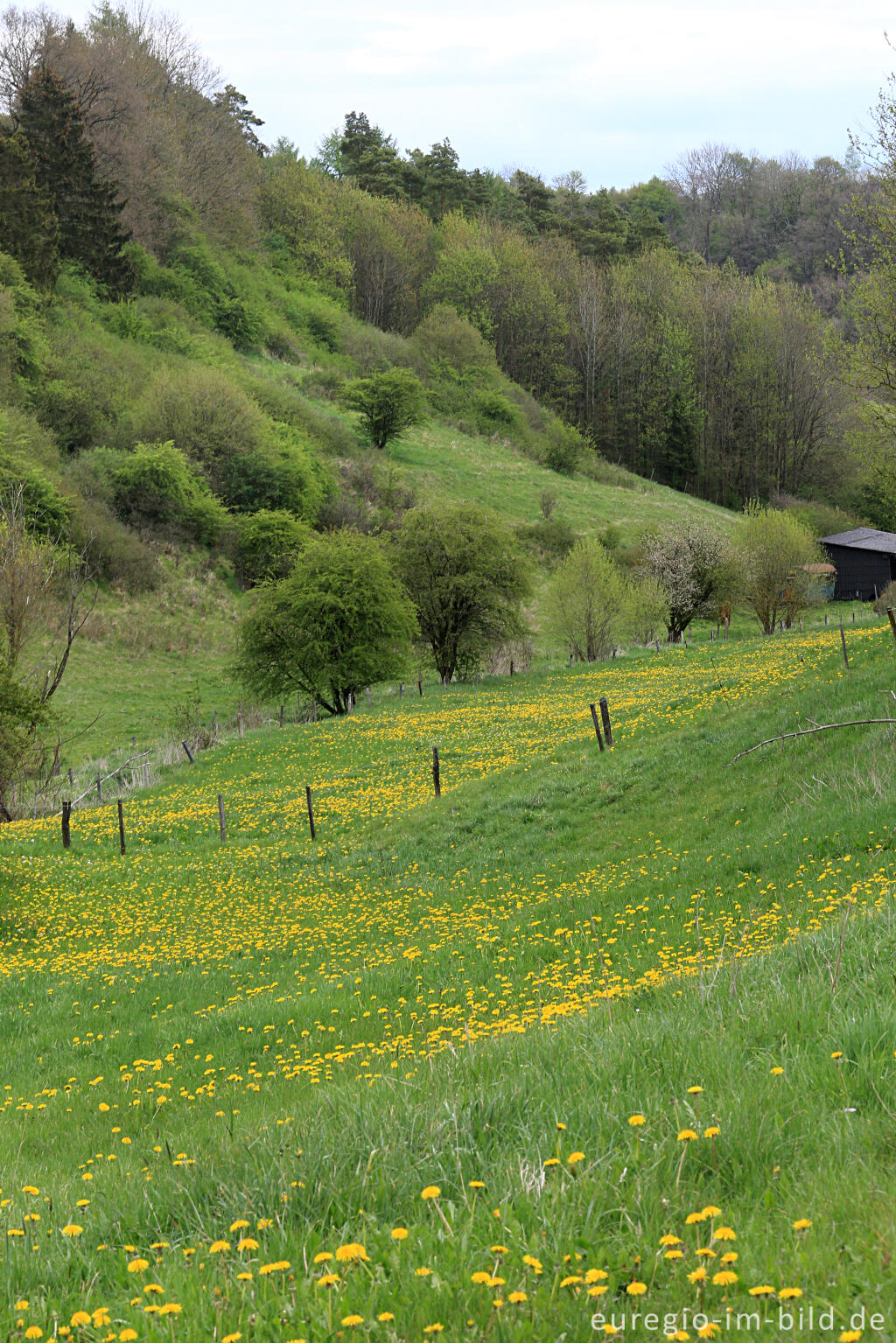 Detailansicht von Landschaft beim Matronenheiligtum von Nettersheim