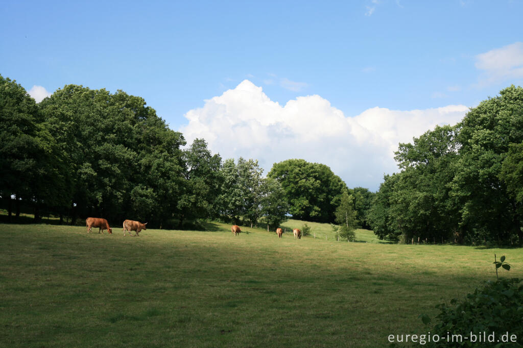 Landschaft beim Weißen Weg, Buschweg, Herzogenrath - Berensberg