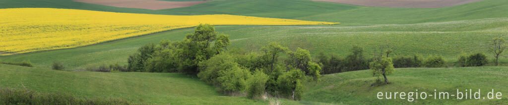 Detailansicht von Landschaft im Bitburger Gutland