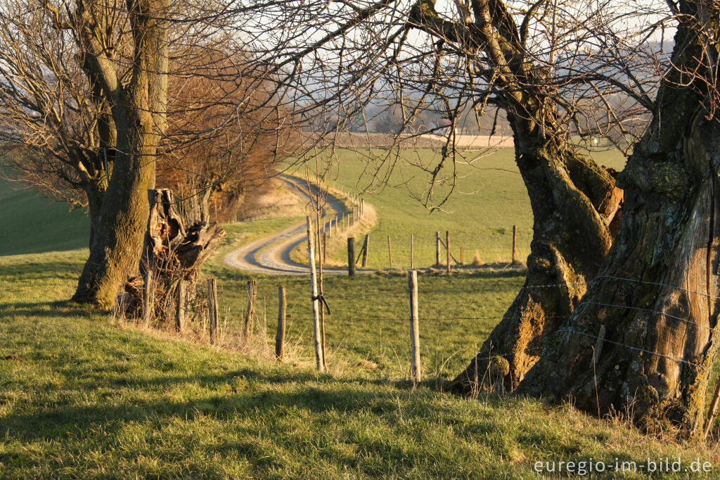 Detailansicht von Landschaft westlich von Sippenaeken mit dem Sträßchen ´t Veld