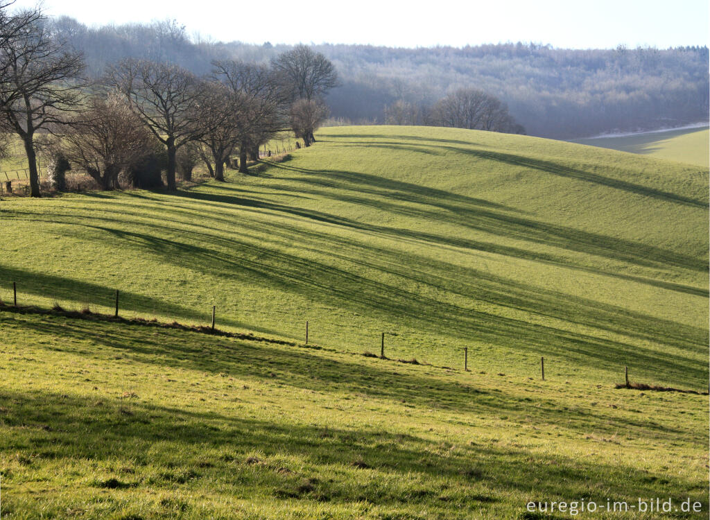 Detailansicht von Landschaft westlich von Sippenaeken