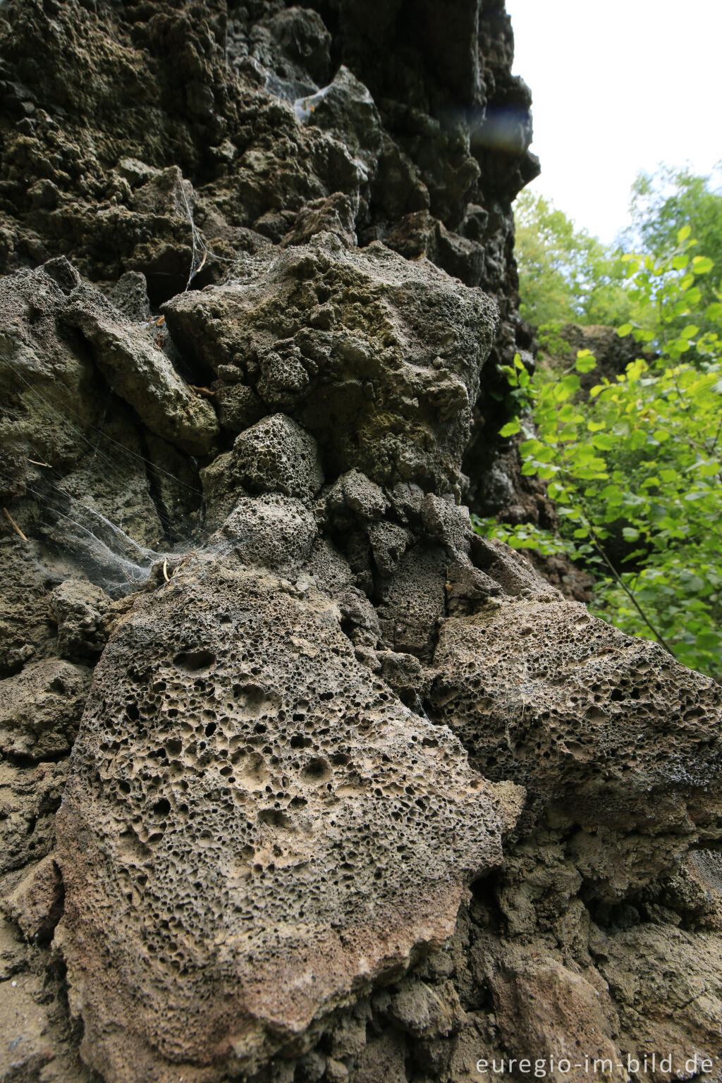 Detailansicht von Lavaabbau am Karmelenberg, Vulkaneifel