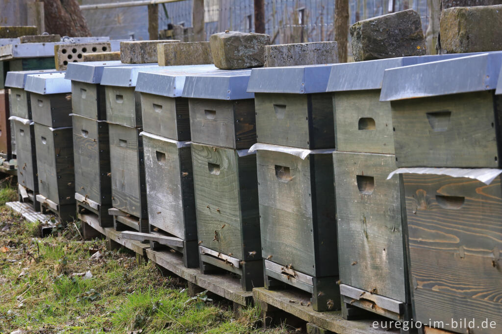 Detailansicht von Lehrbienenstand im Kurpark von Heimbach