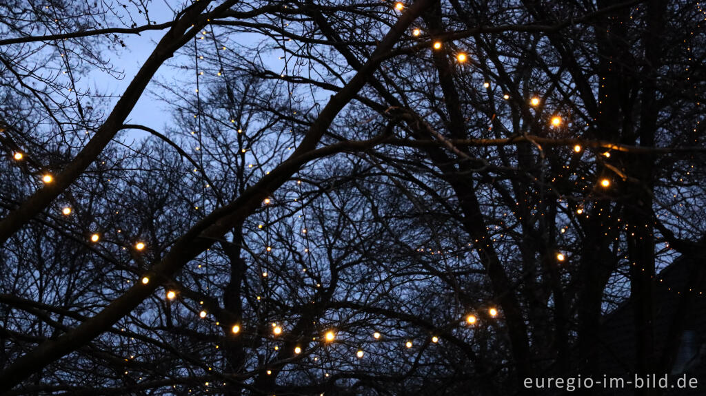 Detailansicht von Lichterketten in den parkbäumen, Alsdorfer Weihnachtsmarkt