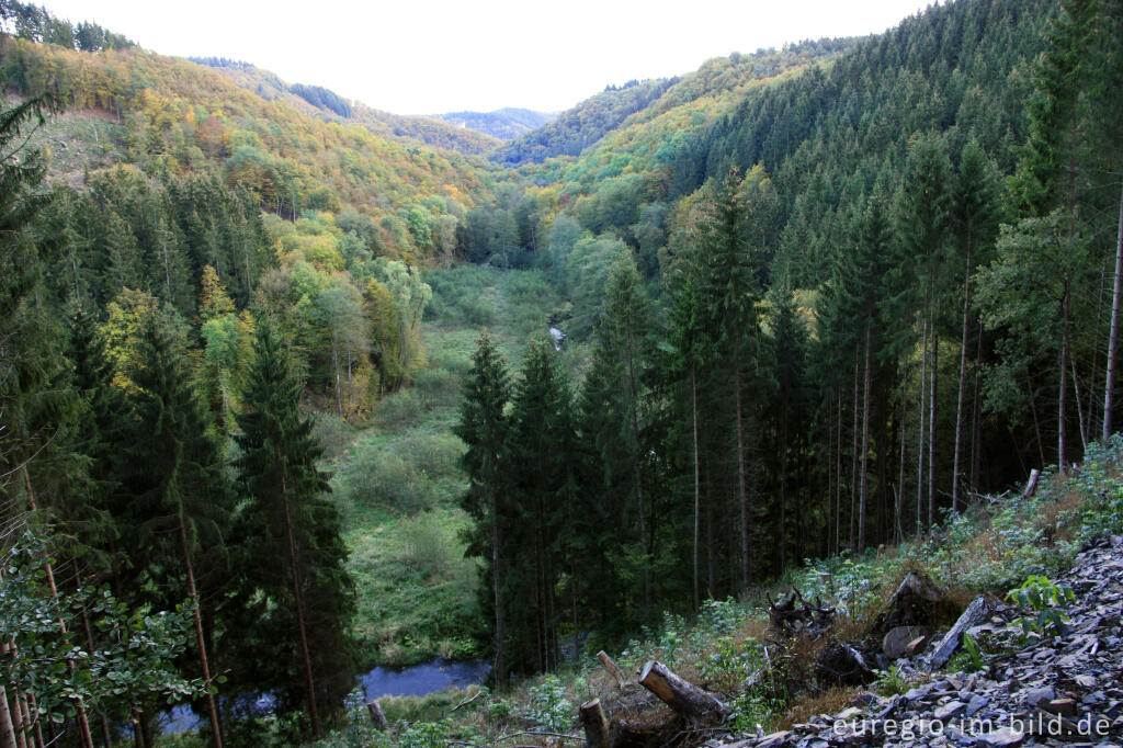 Detailansicht von Liesertal, nördlich von Manderscheid