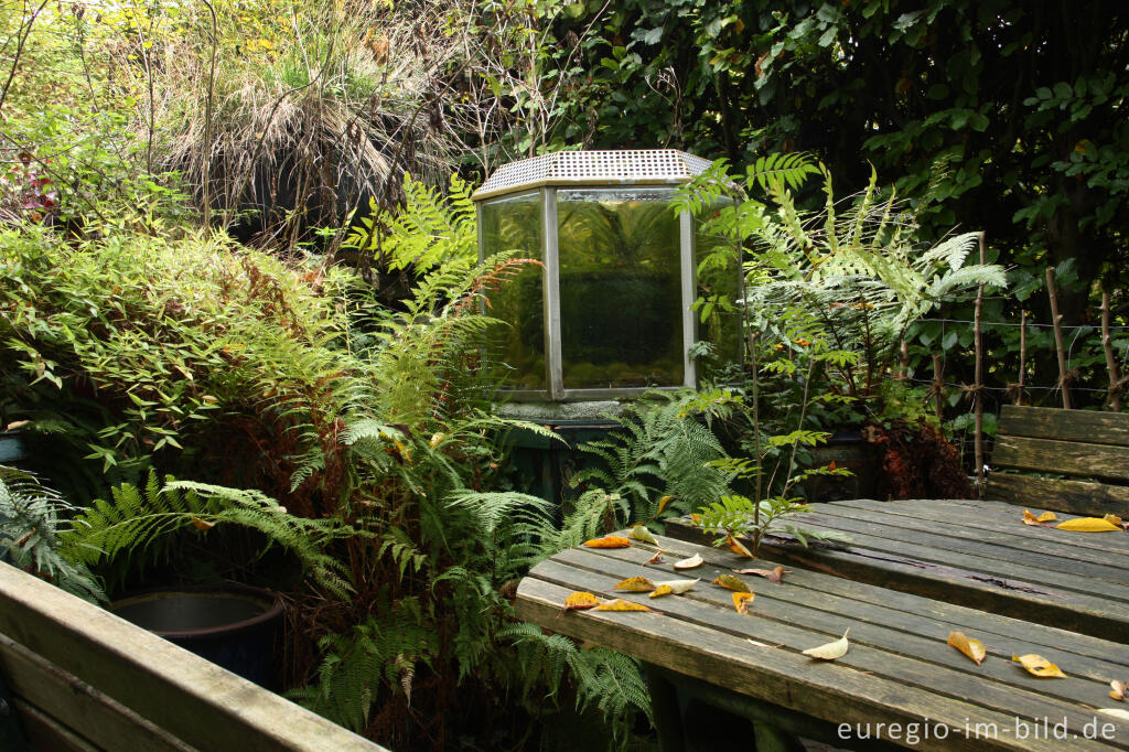 Detailansicht von Lotus - Terrasse, Hortus Dialogus, Nideggen - Abenden