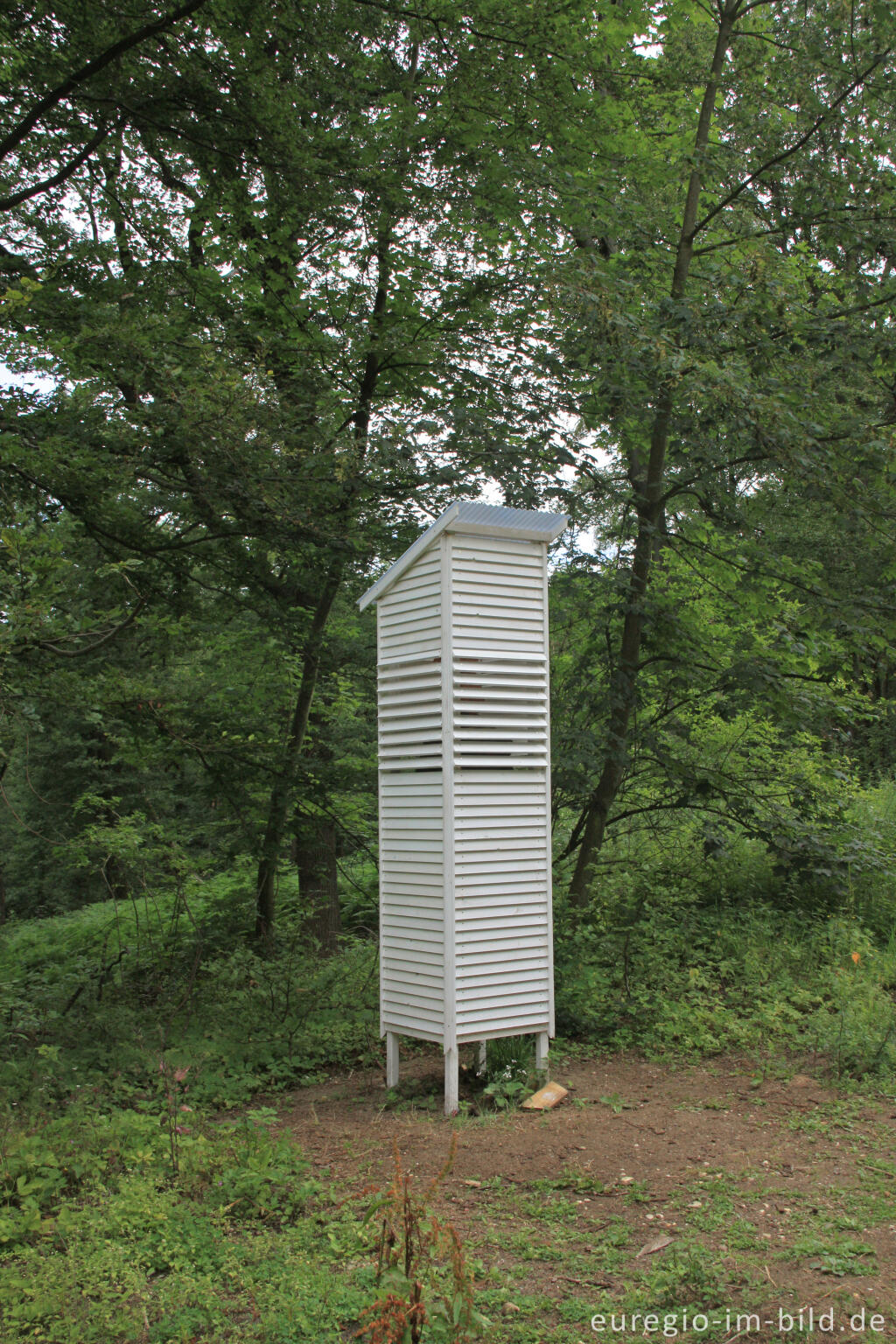 Detailansicht von Maarten Fleuren und Kees Reijnen: "Einsiedler", Grenzkunstroute011, Aachen-Köpfchen