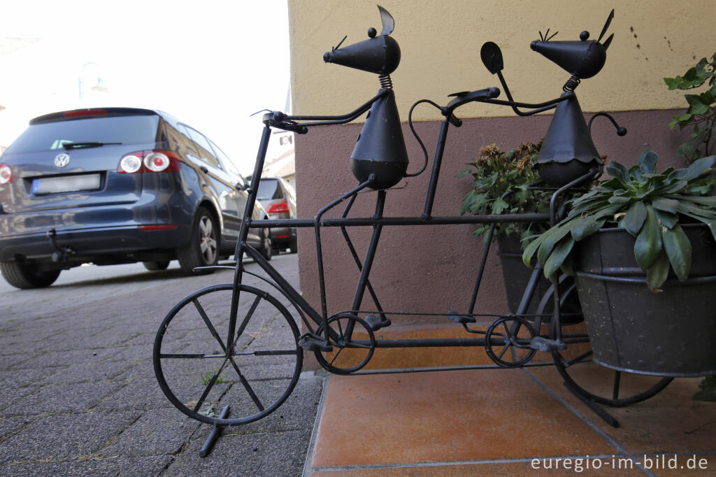 Detailansicht von Mäuse im Hotel / Cafe Mausefalle, Neroth