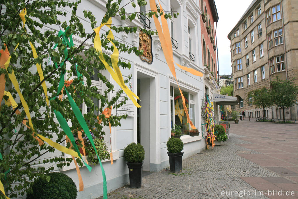 Detailansicht von Maibäume in Aachen-Burtscheid