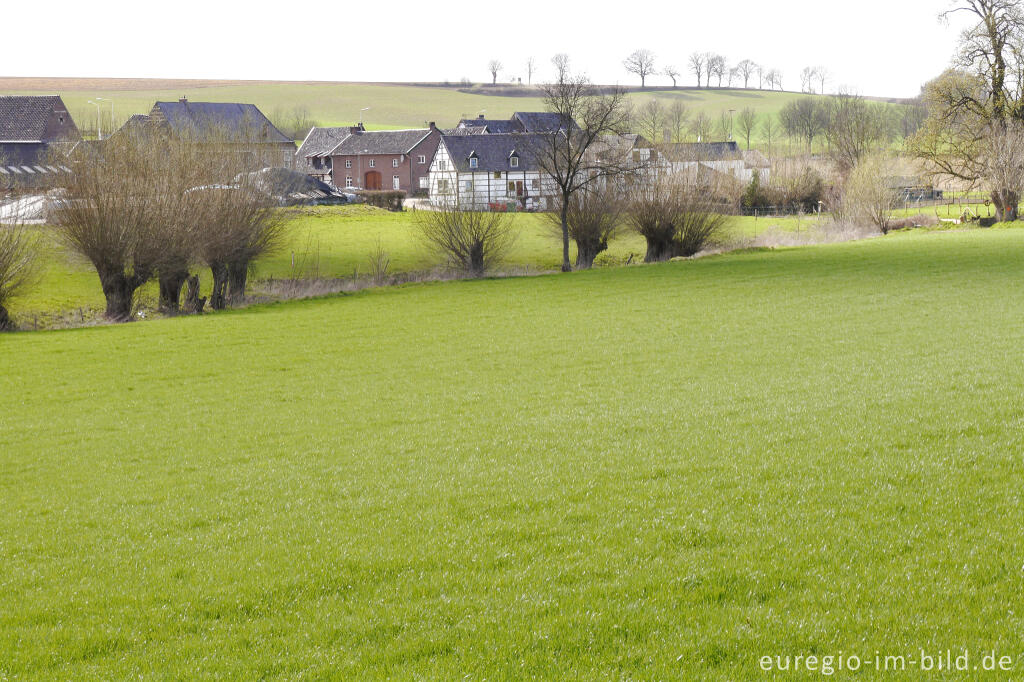 Mamelis (NL) am Senserbach